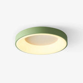 Acrylic Modern Ceiling Light